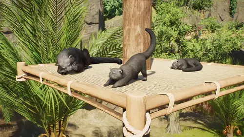 Planet Zoo 2 Sortie en octobre 13